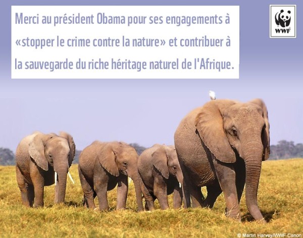 Merci Obama