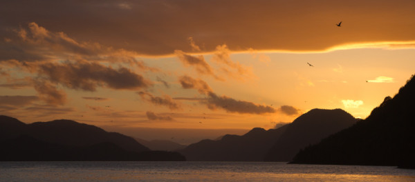 Orange clouds and silhouettes of birds flying in the sunset over Matheson Channel, British Columbia, Canada © Tim Irvin / WWF-Canada