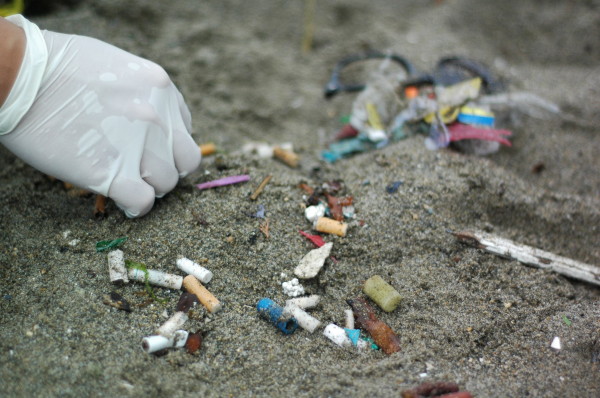 GCSC 2010 - English Bay_Vancouver BC-jf (73)