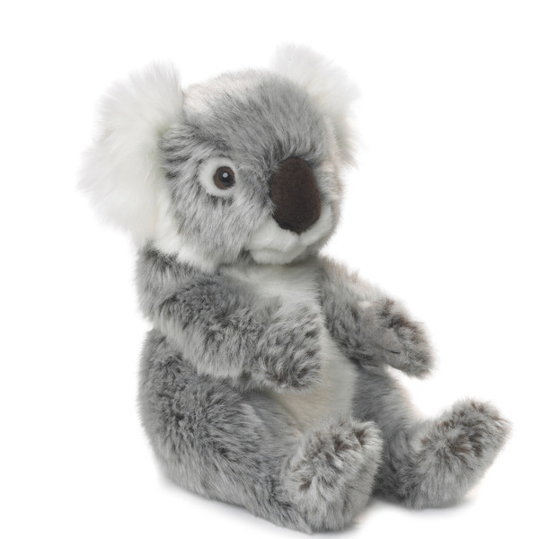 koala plush