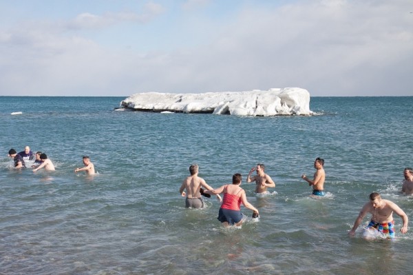 Polar Bear Dip