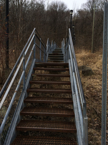 Mix up your step training.  Staircases in office or apartment buildings are a great place to train, but don’t neglect to take this outdoors once and a while.  In and around the city has some great places to train… © Christina Reinhardt / WWF-Canada