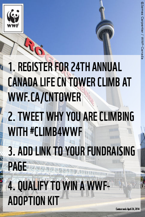 twitter-contest---tower