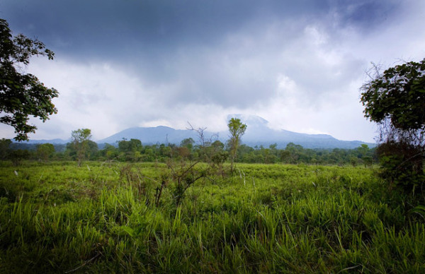 Virunga