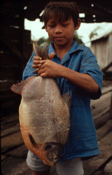 Amazonas, Brazil