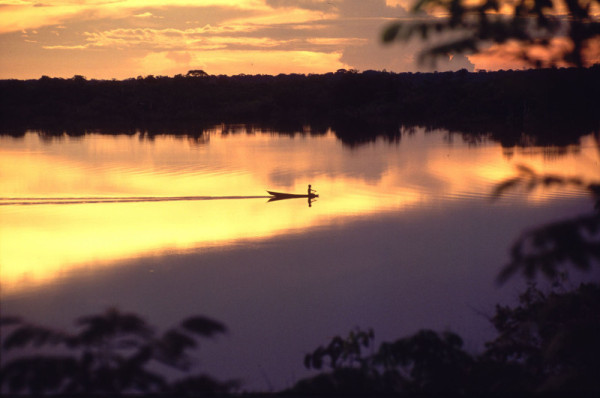 Jaú National Park, Amazonas, Brazil