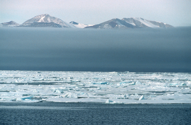 Ellesmere Island coast in fog, Ellesmere Island, Nunavut, Canada Fog bank above sea ice covers the coast leaving only mountain peaks visible at Alexandra Fiord, northeast Ellesmere Island, Nunavut, Canada. 30.07.2003 Image No: 201015 © Lee NARRAWAY / WWF-Canada