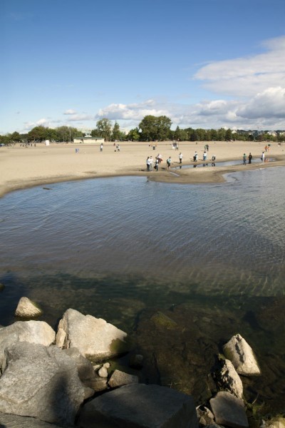 Great Canadian Shoreline Cleanup © James Carpenter/WWF-Canada
