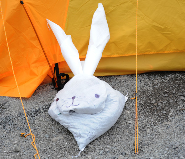 2014-08 Arctic hare 2 (c) Clint Wright Vancouver Aquarium