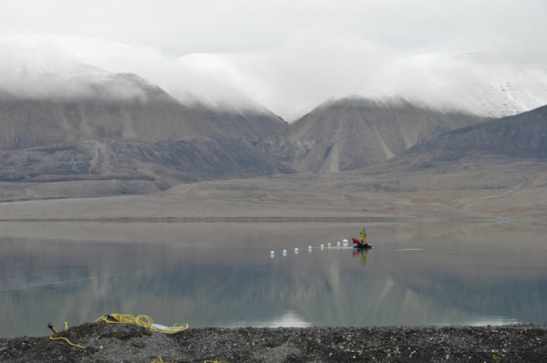 The net in the water. (This photo was taken towards the end of our trip—by the time we left, there was snow on the cliff tops). © Jacqueline Nunes / WWF-Canada