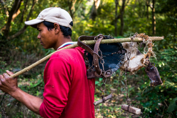 Snares removed by a community-based antipoaching unit in Nepal’s Khata corridor. © Susheel Shrestha/WWF Nepal