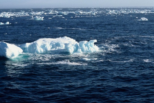 Floating ice blocks, Greenland Sea, between Spitsbergen (Svalbard) and Greenland, Arctic Ocean. © Sylvia Rubli / WWF-Canon