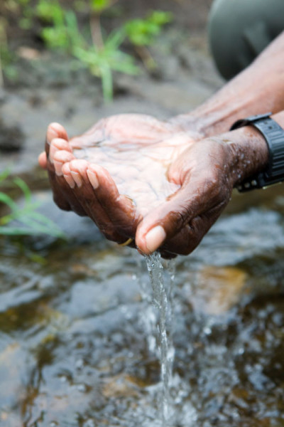 © WWF / Simon Rawles