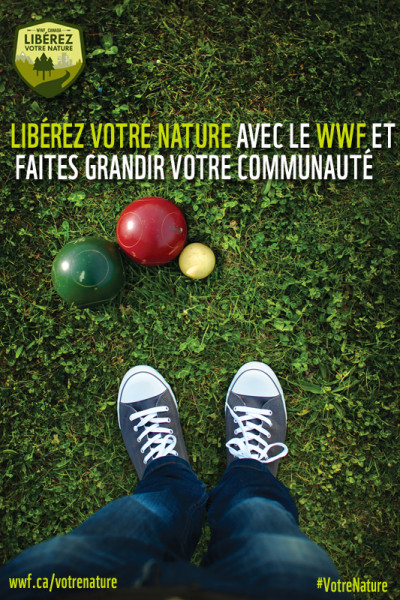 iStock_000037072436_RGB