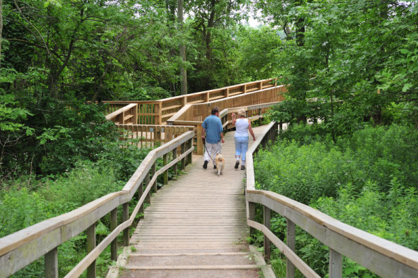 Rattray Marsh Conservation Area, Ontario, Canada. © Frank PARHIZGAR / WWF-Canada