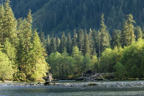 Great Bear Rainforest, British Columbia, Canada