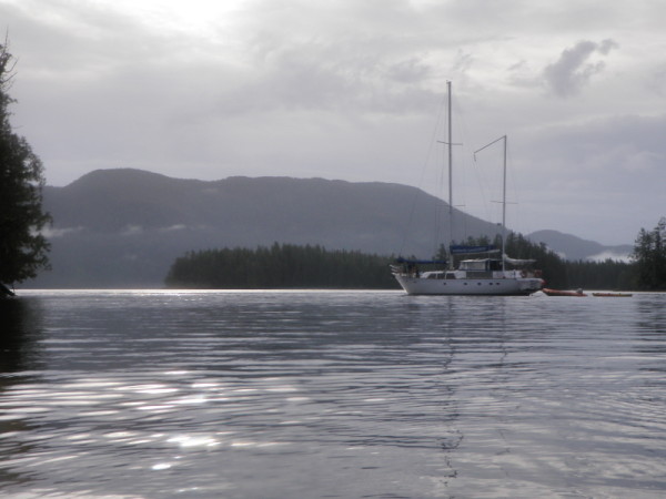 Great Bear Rainforest, British Columbia, Canada. © Natalie Bowes / WWF-Canada