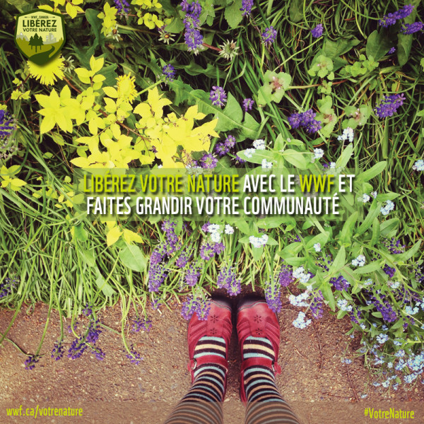 iStock_000038603240_RGB