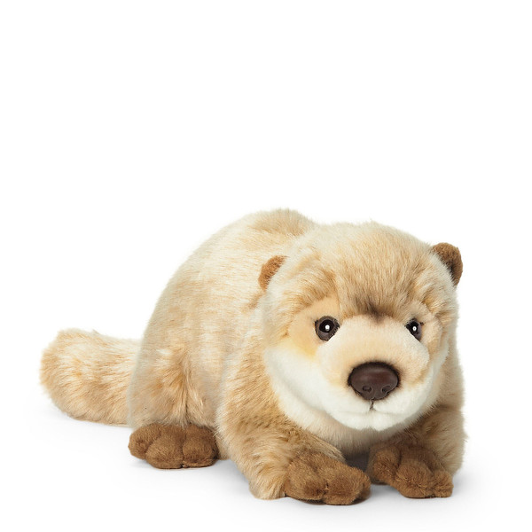 Choisissez votre toutou préféré à boutique.wwfcastg.wwf.ca!