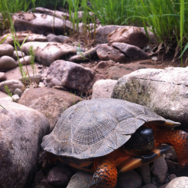 PWA Report  © Petitcodiac Watershed Alliance