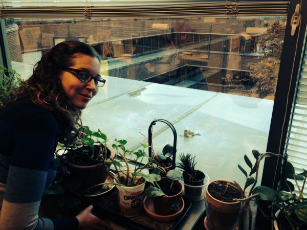 2)Emily observing a Dark Eyed Junco following a collision with East facing window on 4th floor of our study building © Pete Ewins