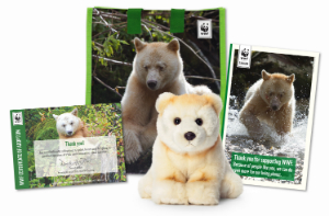 WWFMacSpiritBearKitShot-small