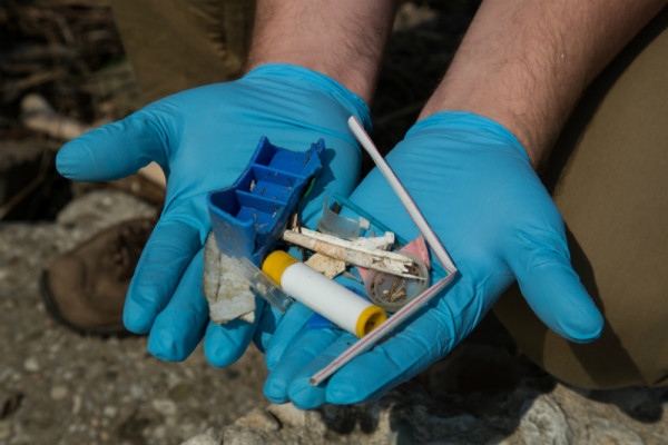 Pieces of plastic collected from the shores of Lake Ontario. © The Water Brothers