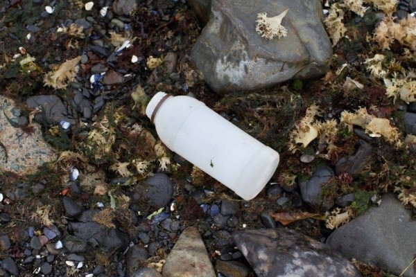 © Great Canadian Shoreline Cleanup