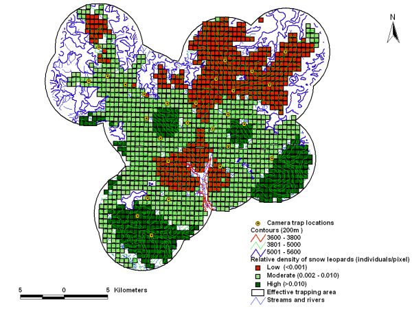 Snow leopard distribution in the study site. Red, light green and dark green pixels denote the low, moderate and high snow leopard density sites, respectively. 