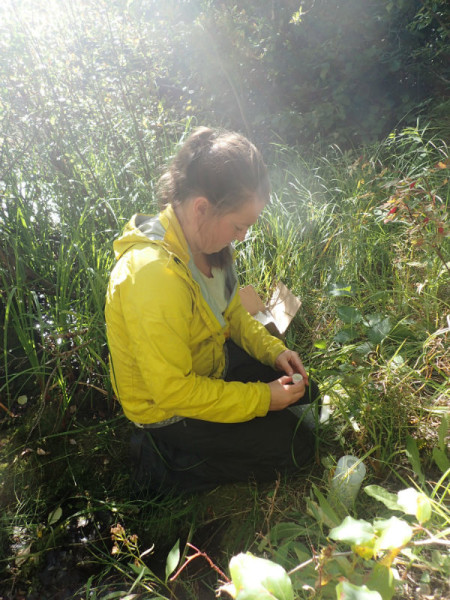 Collecting samples adjacent to a suspected waste pond near Trout Lake. © Blair Carter