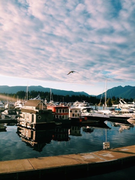 Processed with VSCOcam with c1 preset