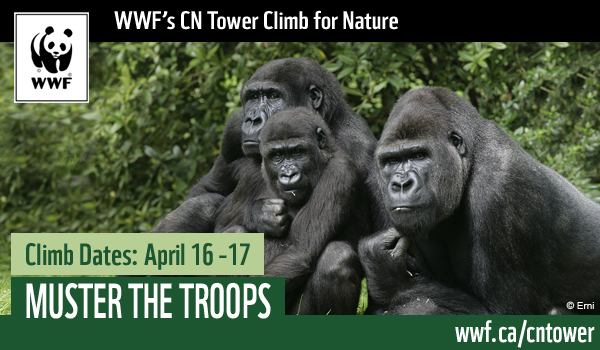 CNTC-header--template-GORILLAS