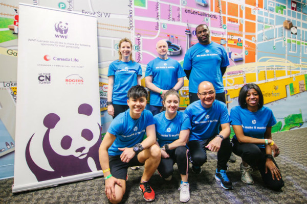 HP Canada employees at last year's CN Tower Climb. © WWF-Canada