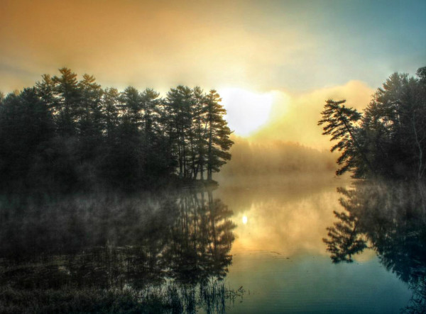 march-winner-600x443