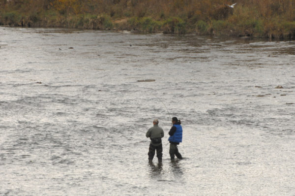 Fishermen fishing for salmon in the Humber river, Toronto, Ontario, Canada. The Humber River was named a Canadian Heritage River on September 25, 1999. © WWF-Canada / Noah Cole