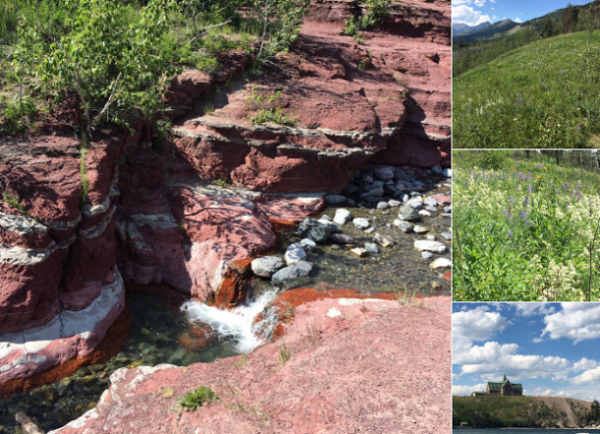 Waterton Lakes © Andrea Goertz 