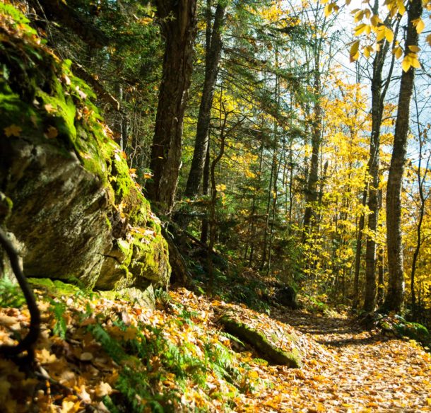 Réseau de milieux naturels protégés