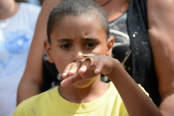 Students plant a butterfly garden, Bob Rumball Camp of the Deaf © Sanja Wirch 