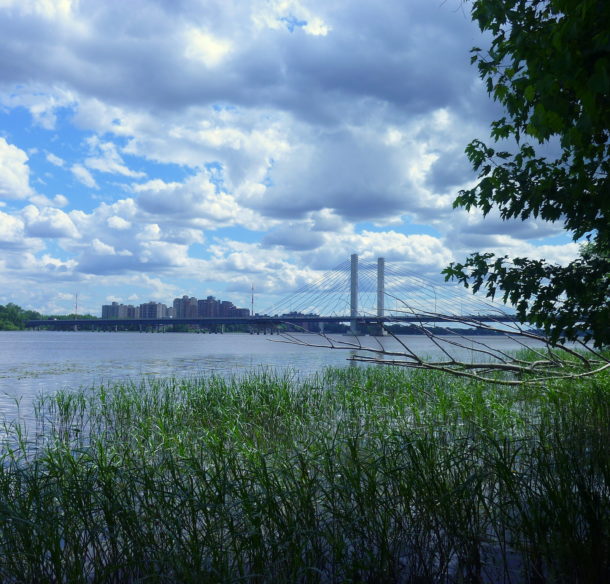 Riparian swamp, Montreal