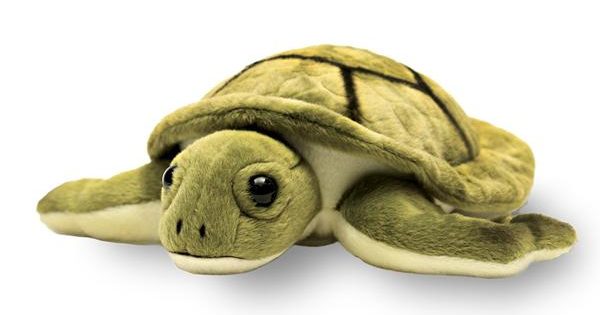 turtle_fullycropped_grande-e1481308205494