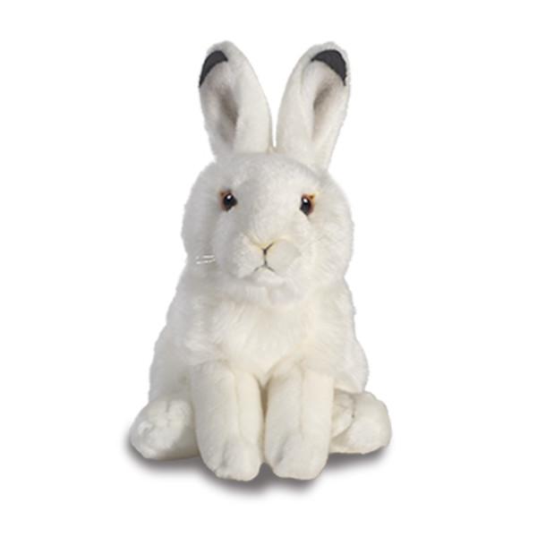 arctic-hare-600x600_grande