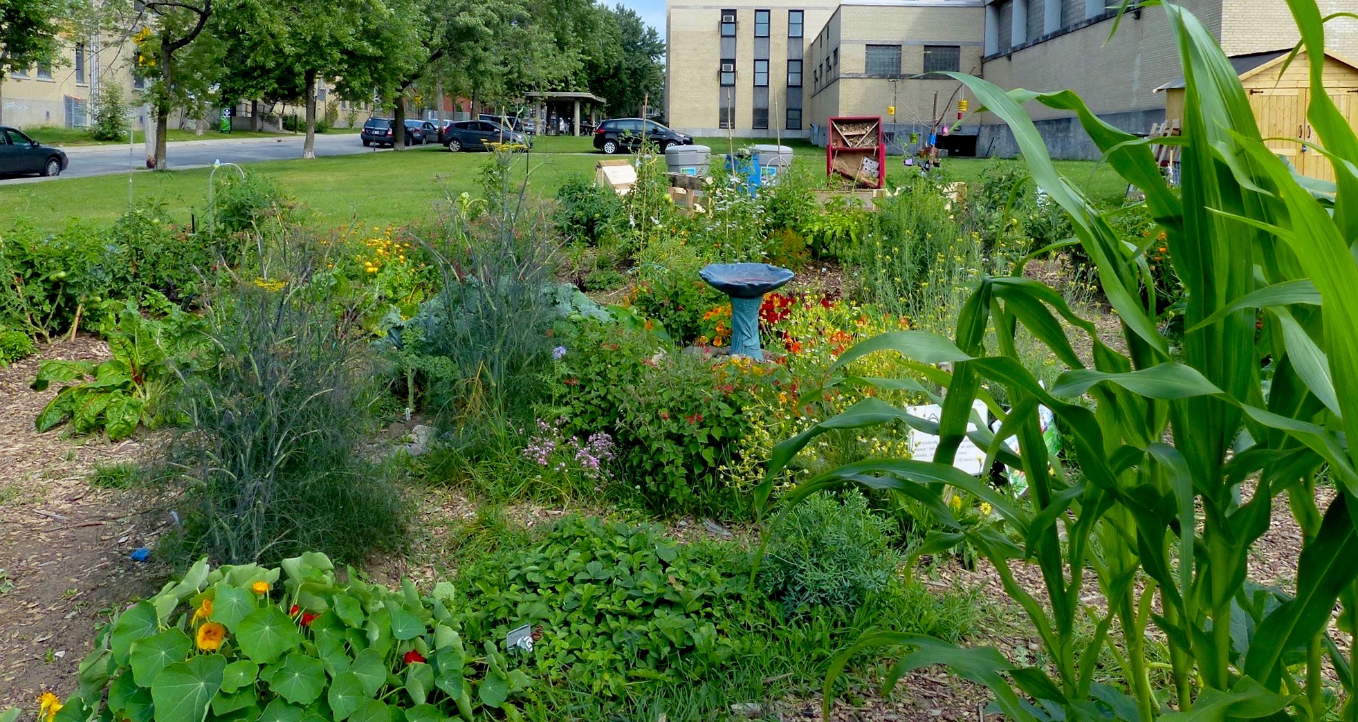 Un Jardin pour tous