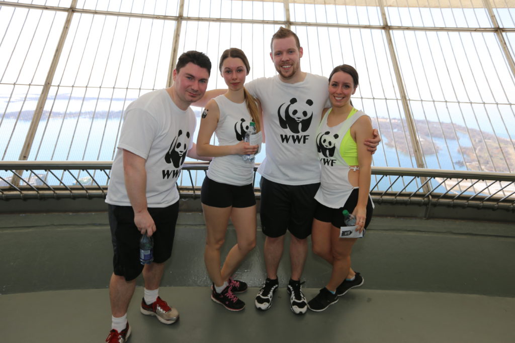 A team of four climbers on their way to the CN Tower