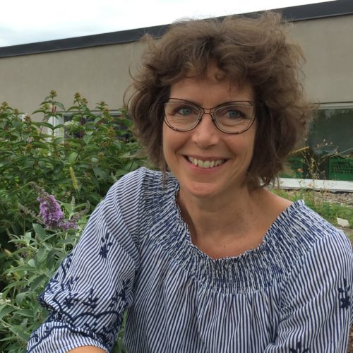 Toit vert Lachine_Femke Bergsma