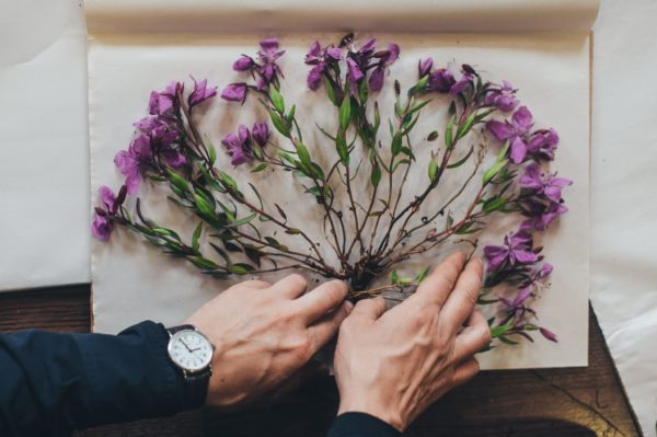 Pressed Flowers