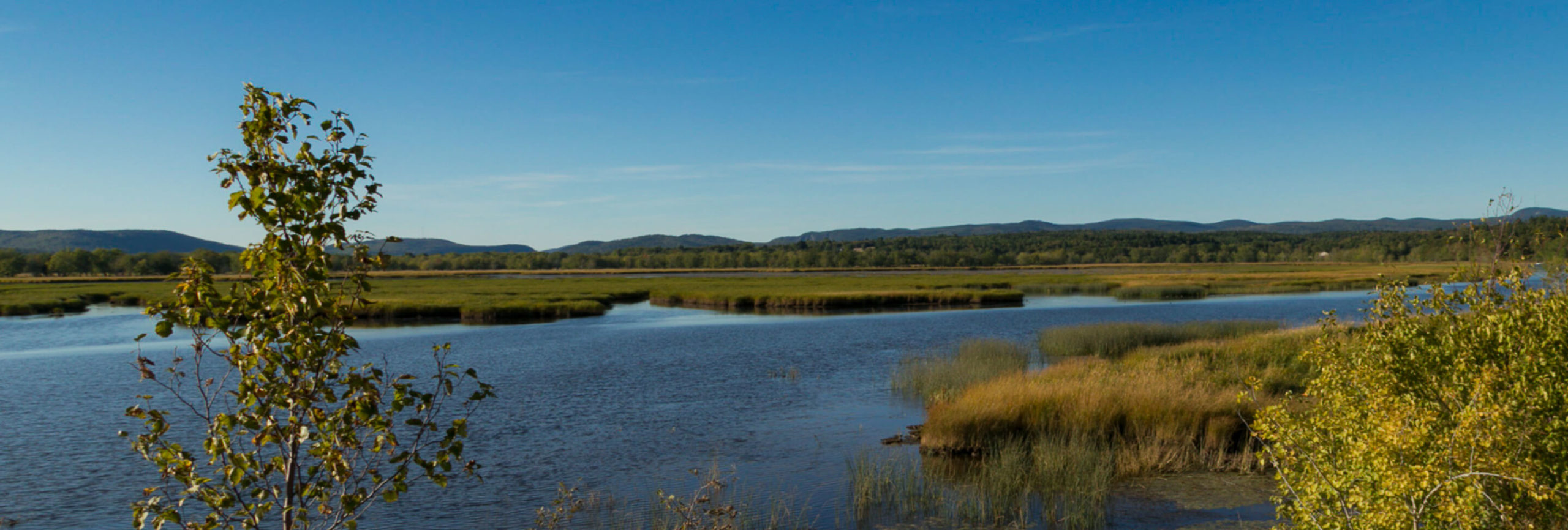 landscape of freshwater