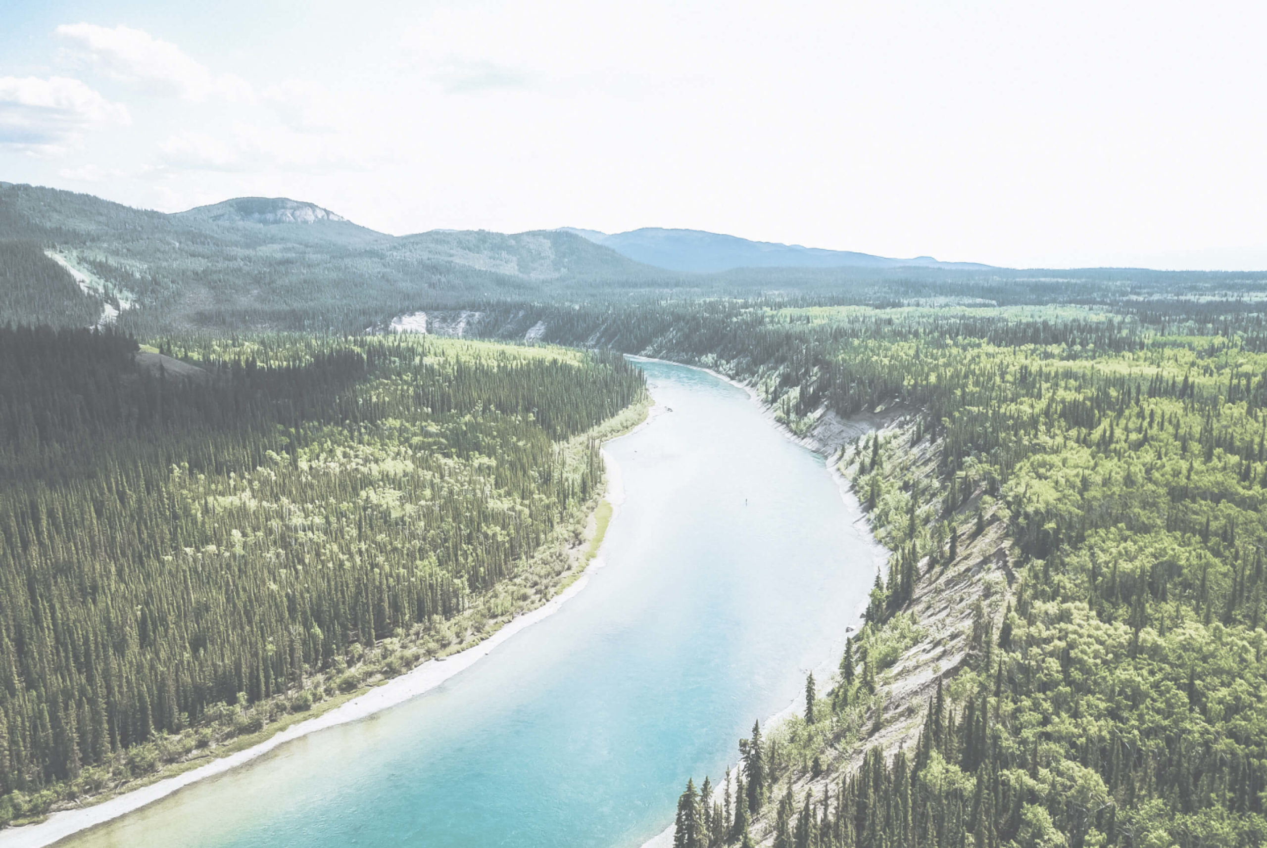 River with Trees