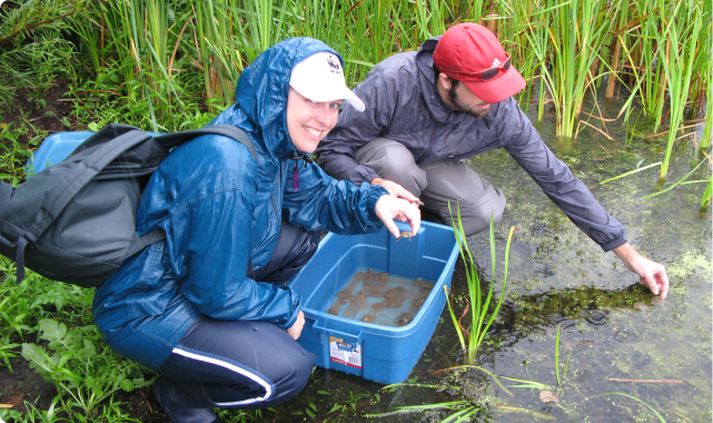 Freshwater testing