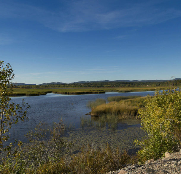 Saint John River