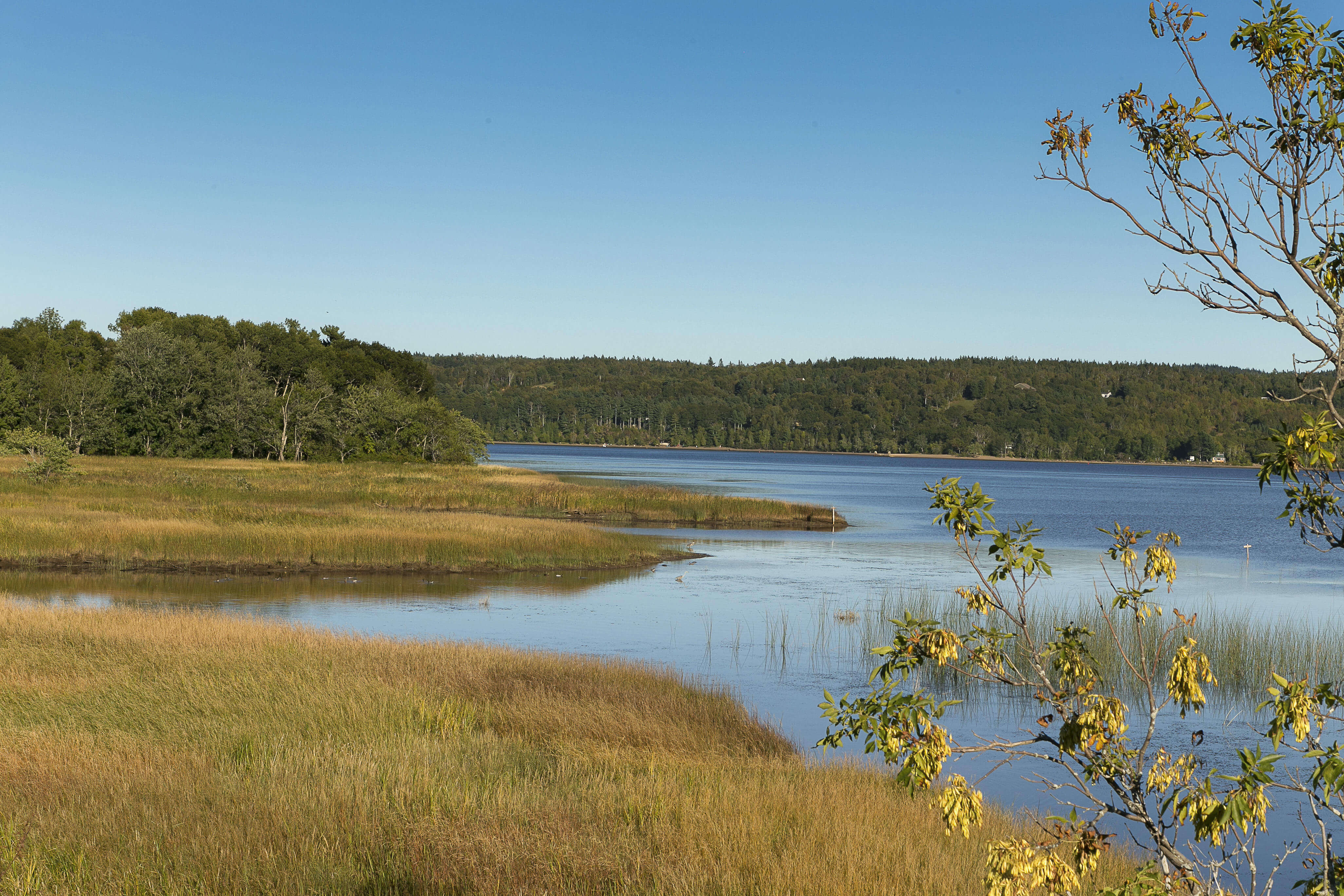 View of Saint John River